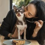 adorable-chihuahua-dog-with-female-owner